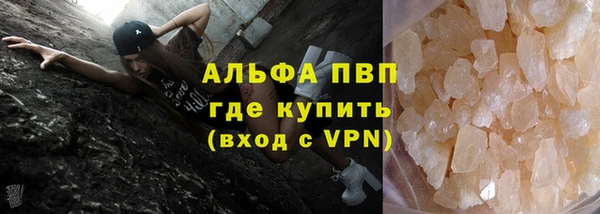 молекула духа Новозыбков