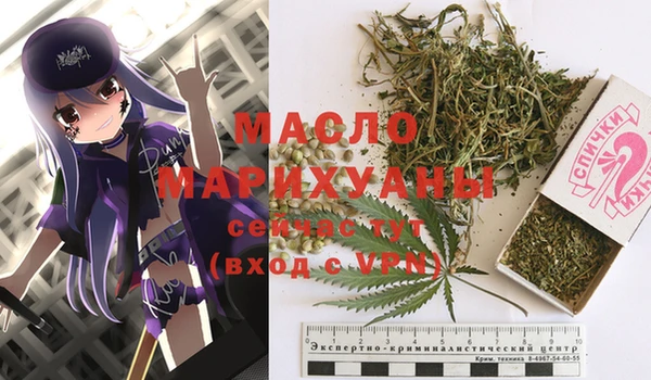 молекула духа Ладушкин