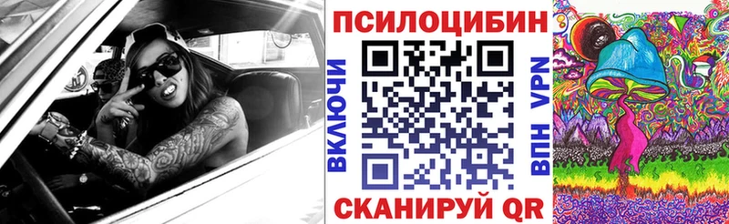 Псилоцибиновые грибы ЛСД даркнет сайт мега как зайти Шарыпово